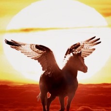 horse-with-wings-2287095_1280